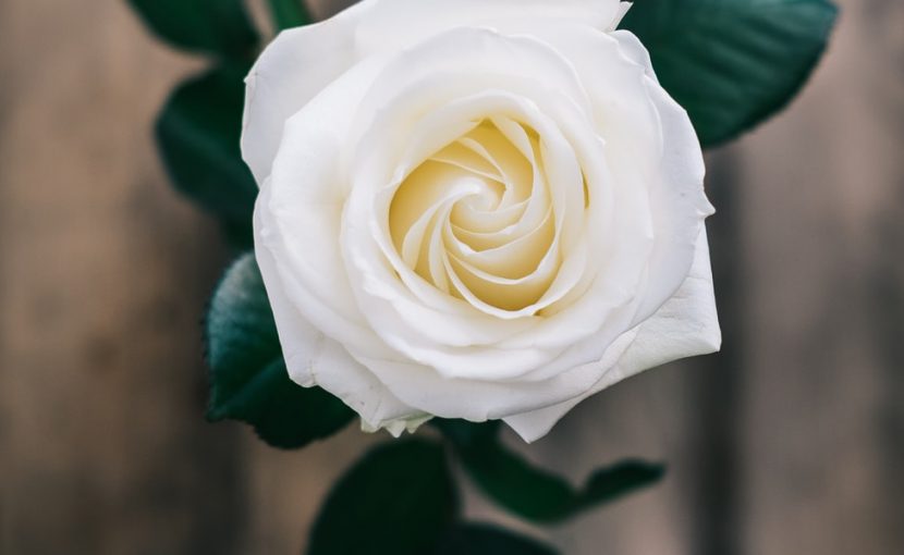 当教室の理念「教育は質が命✨」