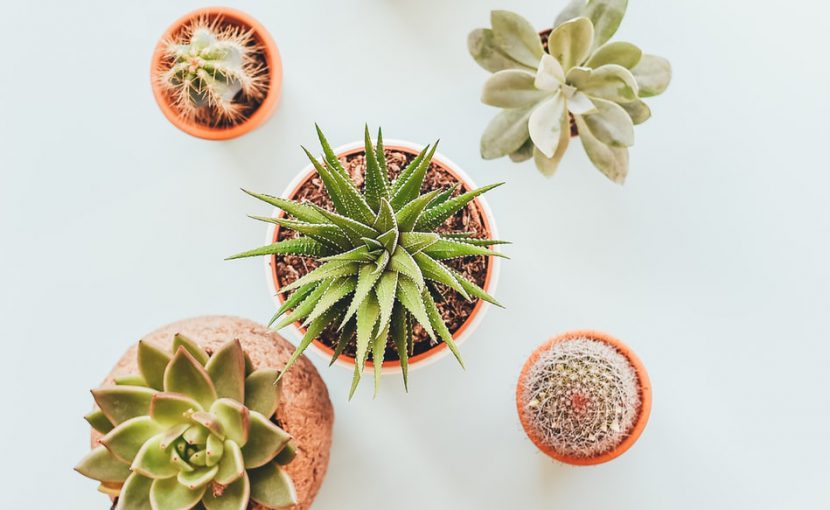 別に書道なんて好きじゃない!